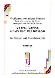 Vedrai carino Arie für Sopran