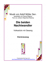 Die beiden Nachtwandler